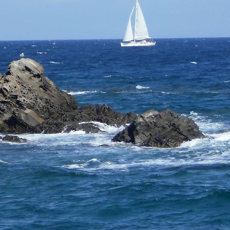 Le Case Punta Negra Stintino Dış mekan fotoğraf
