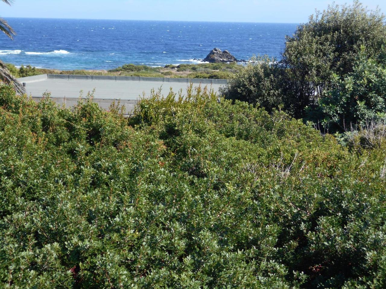 Le Case Punta Negra Villa Stintino Dış mekan fotoğraf