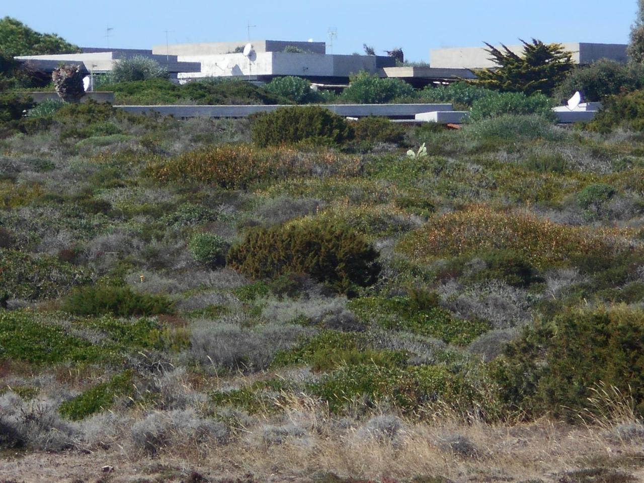 Le Case Punta Negra Villa Stintino Dış mekan fotoğraf