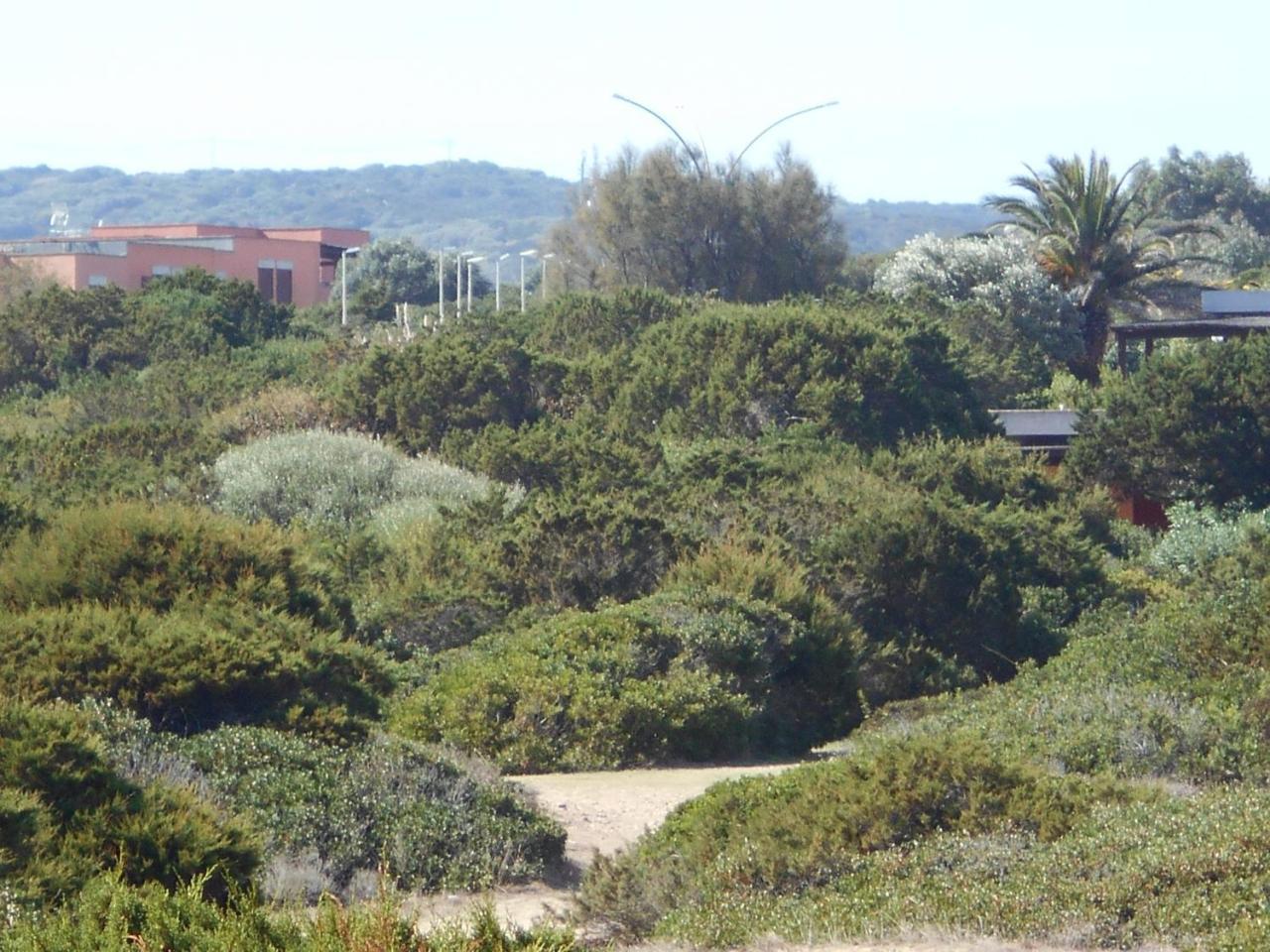 Le Case Punta Negra Villa Stintino Dış mekan fotoğraf