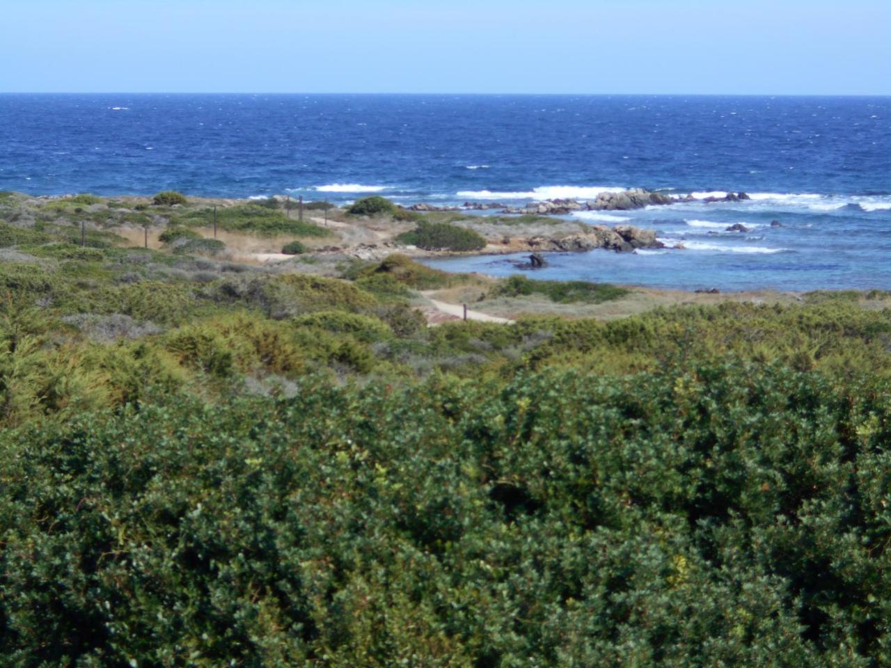 Le Case Punta Negra Stintino Dış mekan fotoğraf