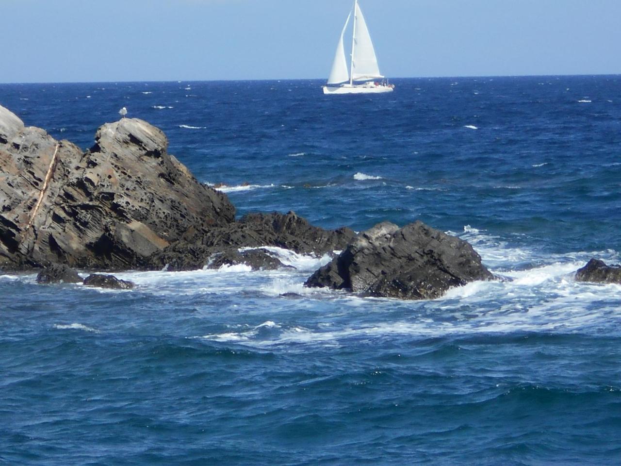 Le Case Punta Negra Stintino Dış mekan fotoğraf